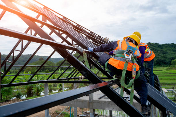 Best Metal Roofing Contractor  in Sur Hill, GA